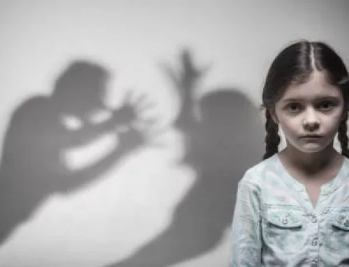 Domestic Violence and Non-Citizens’ Rights